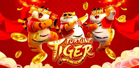 6Z.COM Fortune Tiger Atmosfera de Jogo Encantadora